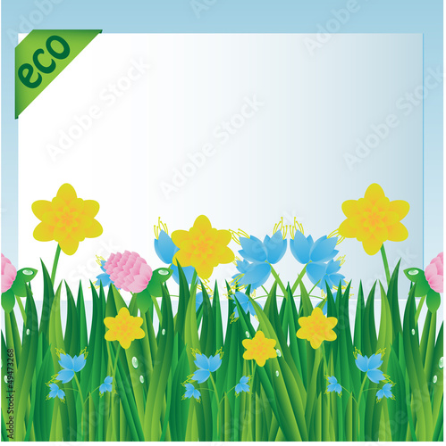 glade with flowers and sheet of paper