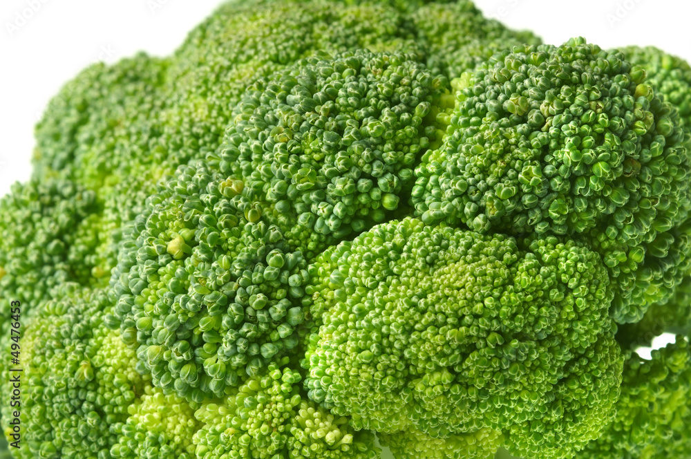 fresh broccoli vegetable food