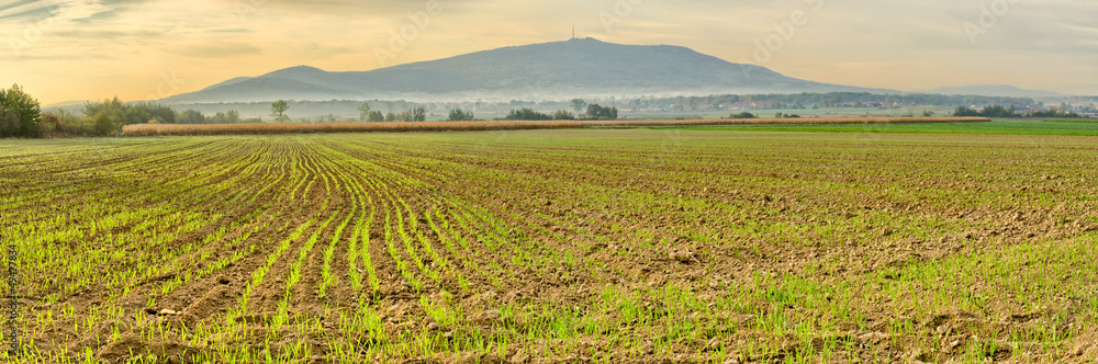 Panorama with field and Sleza Mountain, Poland