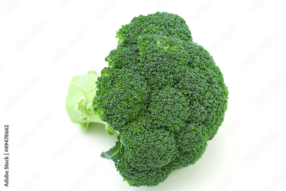broccoli on white background broccoli on white background