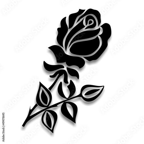 steinmetzrose1302b