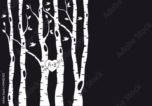 wedding invitation with birch trees, vector