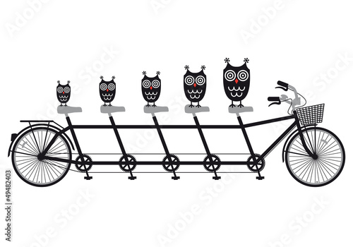 owls on tandem bicycle, vector #49482403