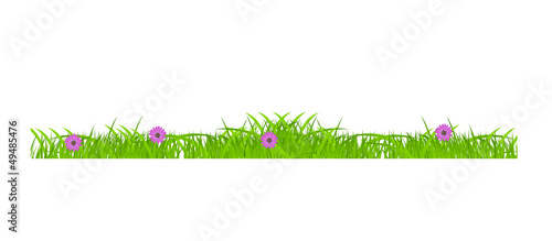 Flower and grass Borders set. vector illustration