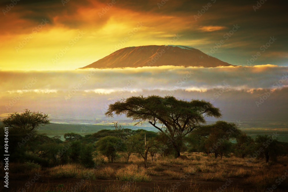 Naklejka premium Góra Kilimandżaro. Savanna in Amboseli, Kenia