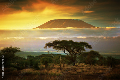 Murais de parede Mount Kilimanjaro. Savanna in Amboseli, Kenya