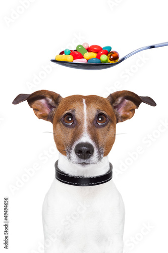 dog pills diet © Javier brosch