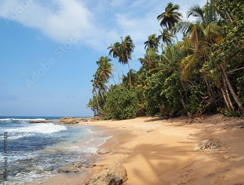 Wild tropical beach with lush vegetation and a shade of a coconut tree on the sand, Costa Rica, Central America