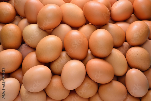 Group of eggs