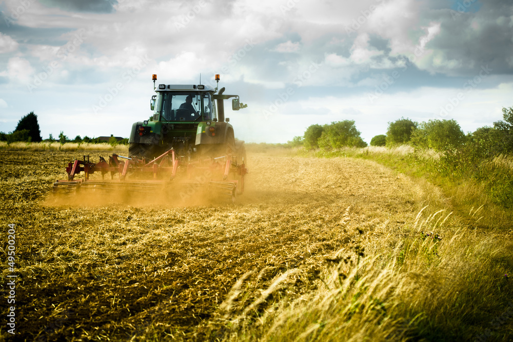 Naklejka premium Tractor ploughs field