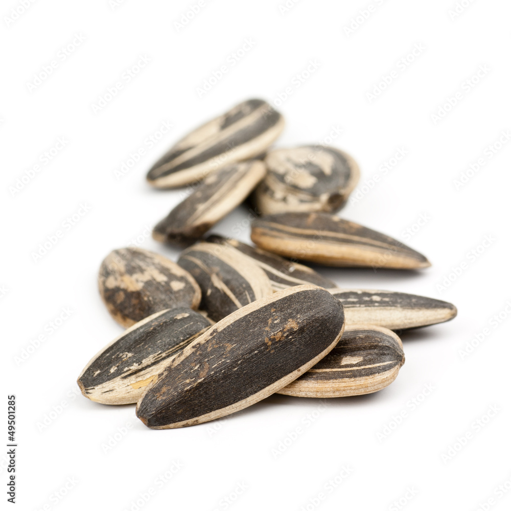 Obraz premium Sunflower seed