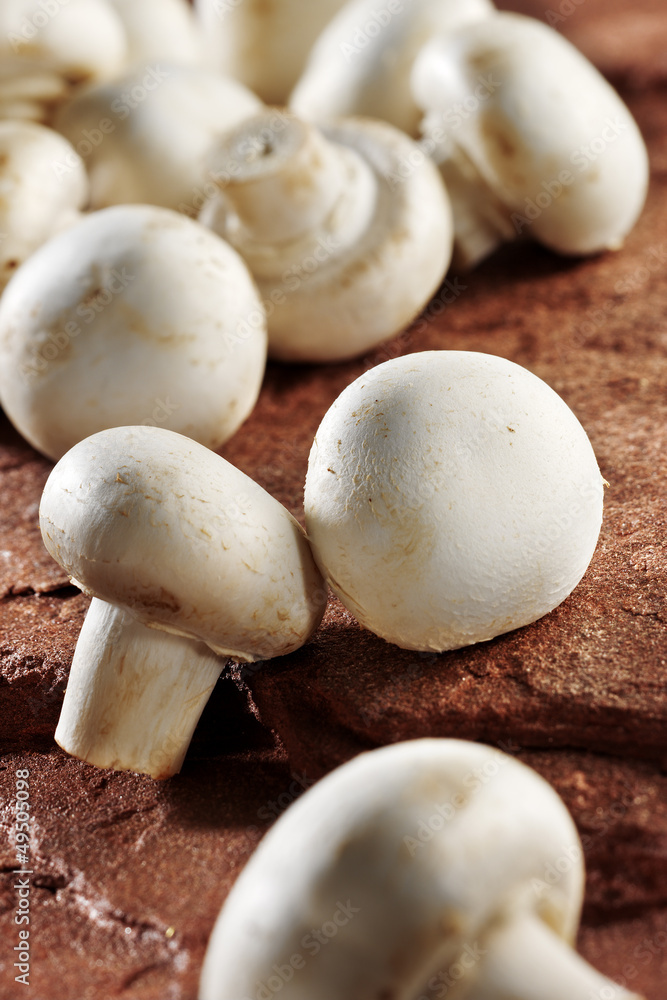 mushrooms mushrooms