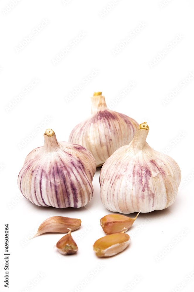 Obraz premium garlic and garlic cloves