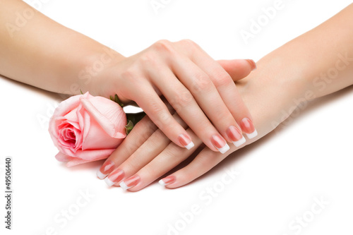 Women's hands with a rose