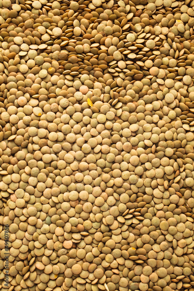 Fototapeta premium Lentils texture
