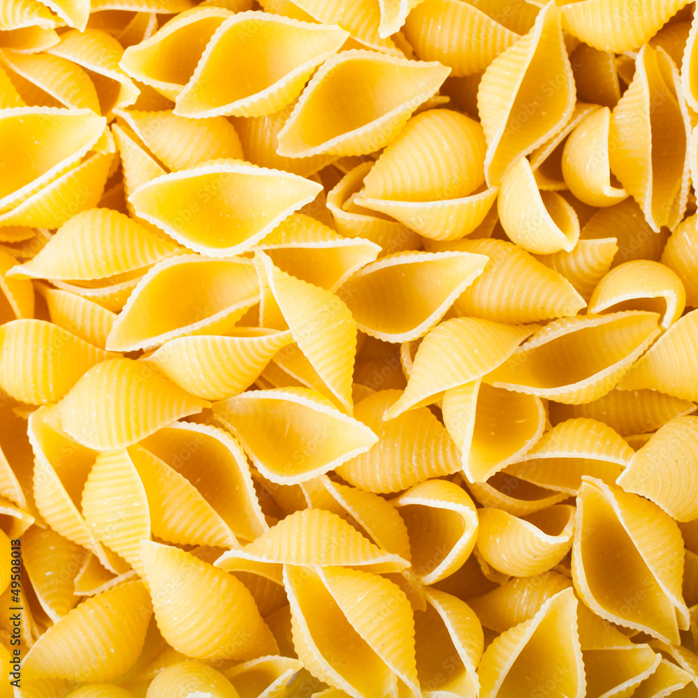 pasta conmchiglie pasta conmchiglie