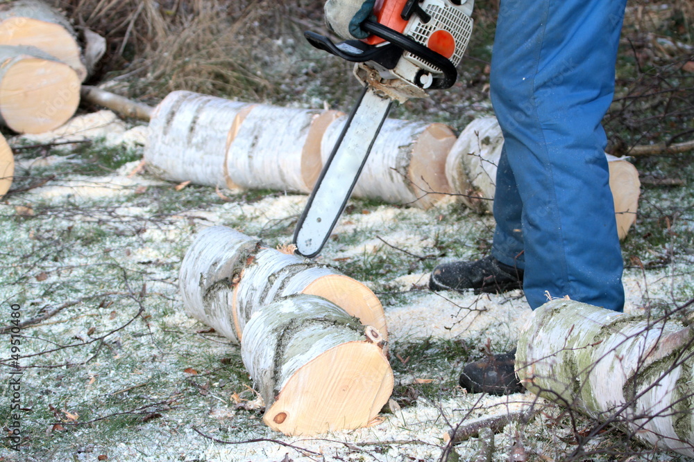 Tree cutting with chainsaw