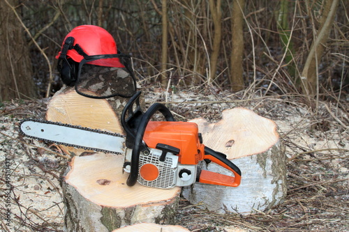 Chainsaw safety equipment and cutting  tree in forest