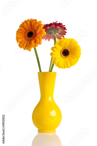 Flowers and vase. © gitusik