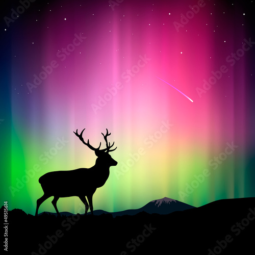 The northern lights with a deer, vector Eps10 illustration.
