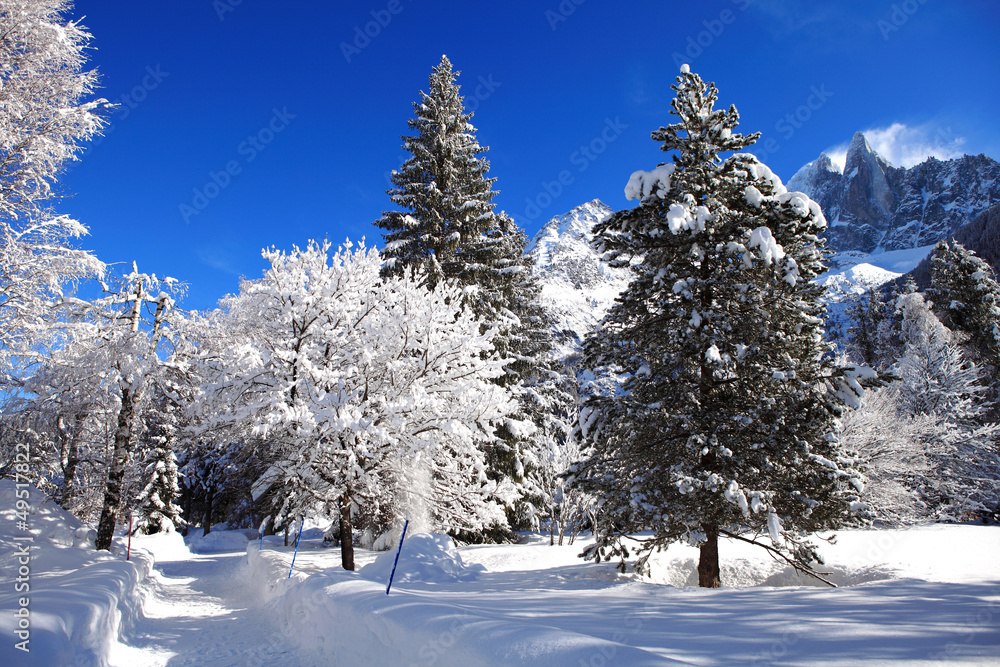 snowy branches on the background of the Alps snowy branches on the background of the Alps