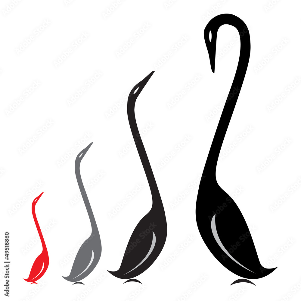 Vector image of a group of swans on a white background. Vector image of a group of swans on a white background.