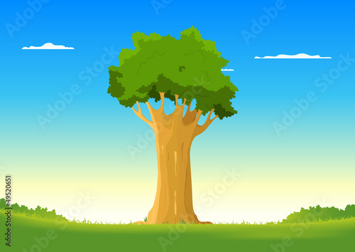 Oak In Spring Field