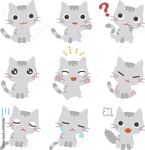 いろいろなポーズの猫