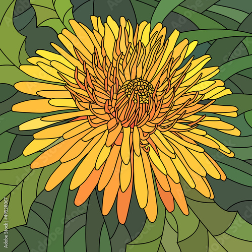 Fototapeta Naklejka Na Ścianę i Meble -  Vector illustration of flowers orange dandelion.