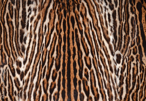leopard fur coat texture