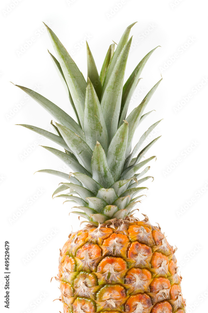 Fototapeta premium fresh pineapple detail on white background