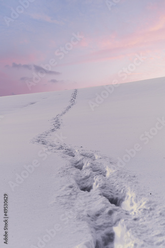 Spuren im Schnee