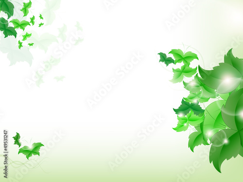 Environmental Background with green leaf butterflies
