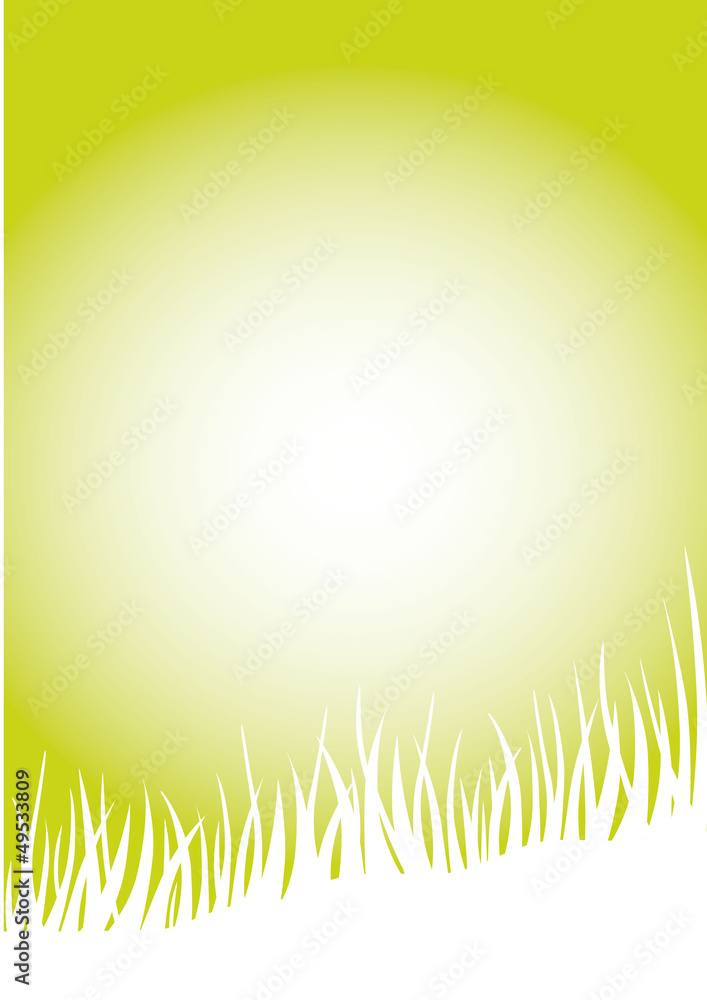 Obraz premium Wiese3