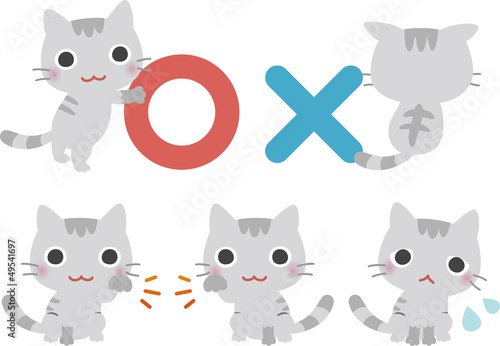 ○か×かを知らせる猫