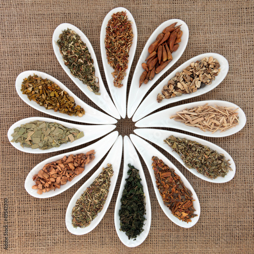 Magical and Mediicinal Herbs
