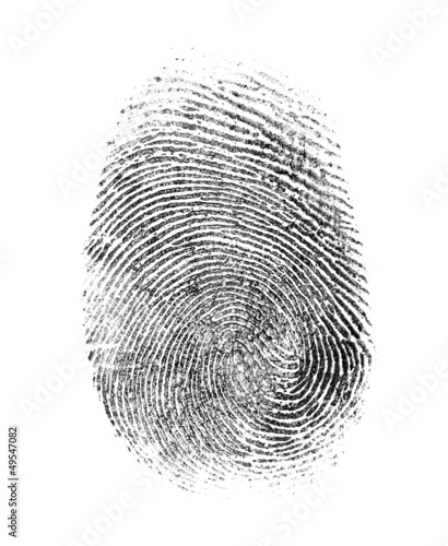 fingerprint isolated on white