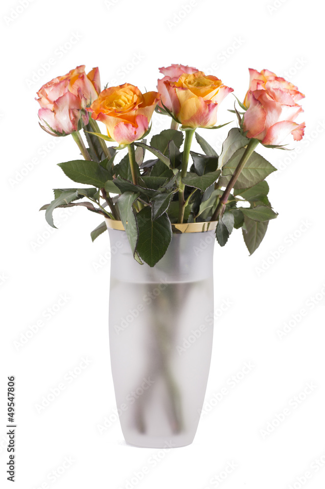 Roses in a Vase Roses in a Vase