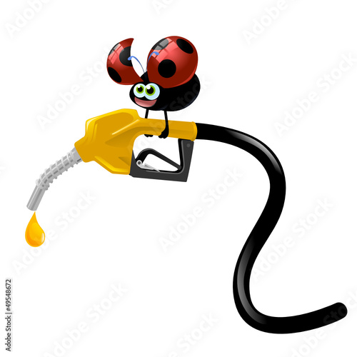 coccinella  carburante