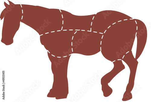 Viande de cheval