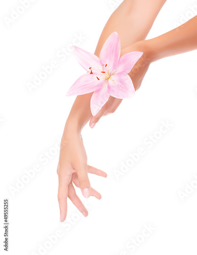 Women s hands with pink lily