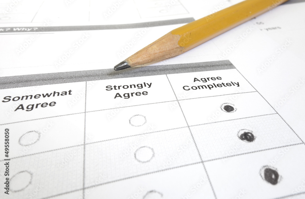 survey macro survey macro