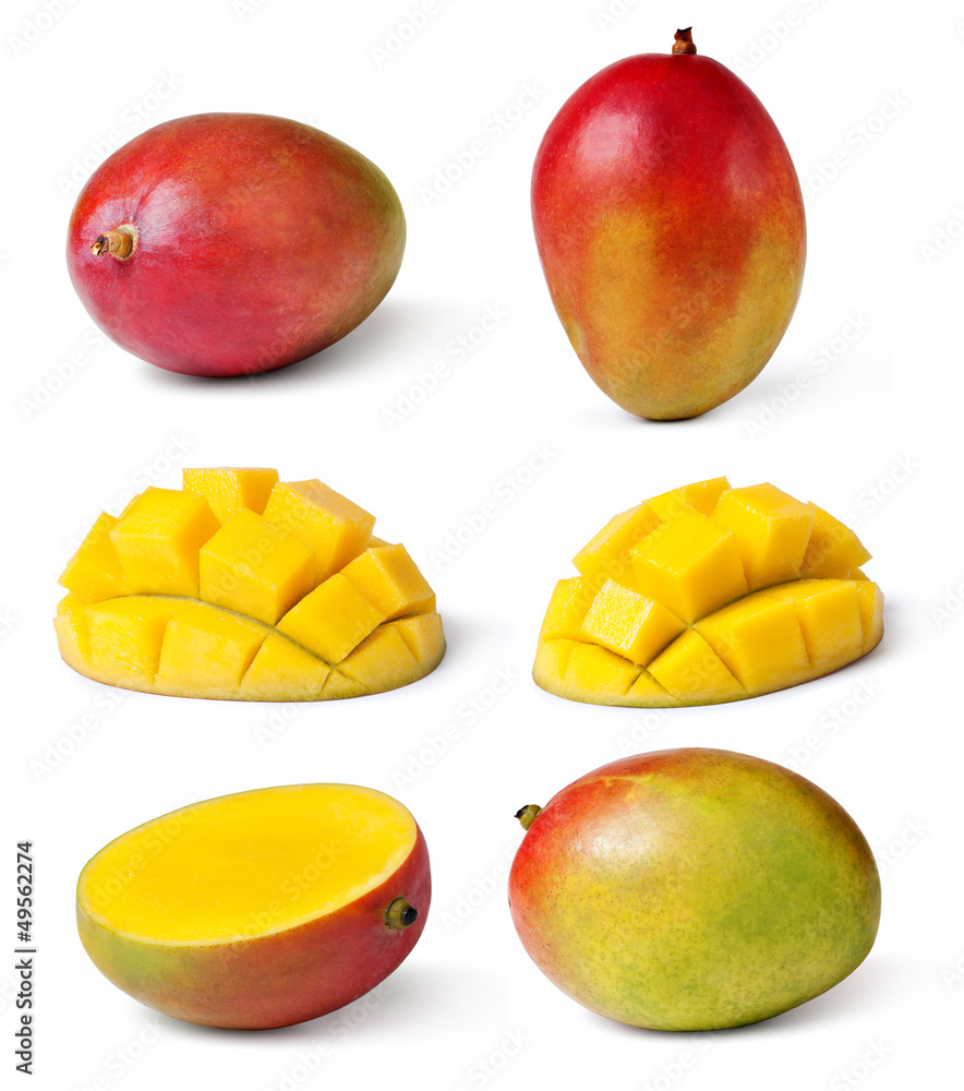 mango mango