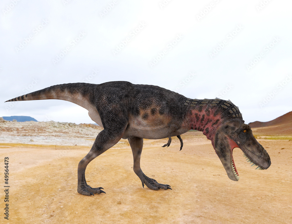 Fototapeta premium tarbosaurus eattin side view