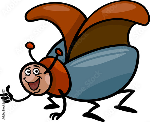 beetle insect cartoon illustration