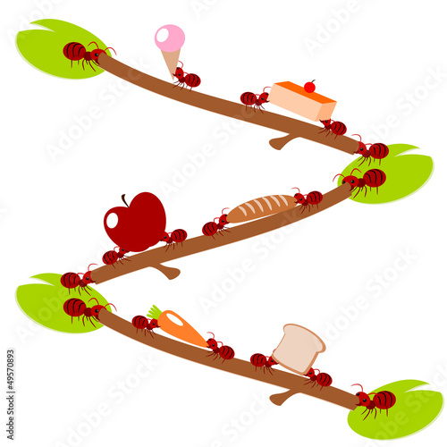 Red ants  pick food teamwork illustration