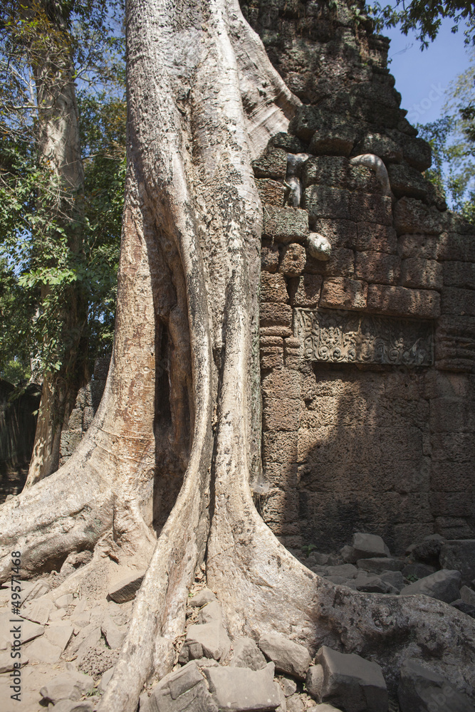 Ta Phrom. Siem Reap. Cambodia