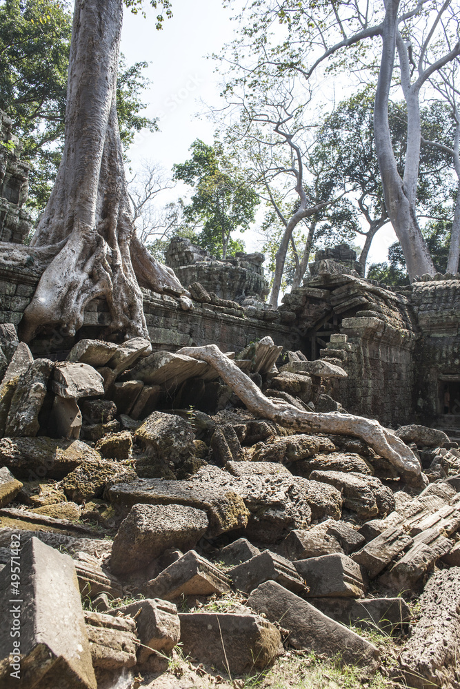 Ta Phrom. Siem Reap. Cambodia