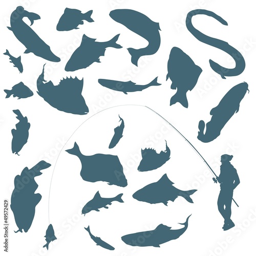 Fisherman and fishes vector background