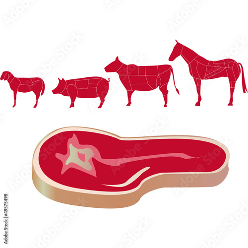 bistecca